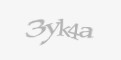 Sikkerhetskode