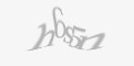 Sikkerhetskode