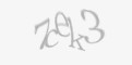 Sikkerhetskode