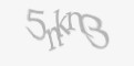 Sikkerhetskode