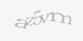 Sikkerhetskode
