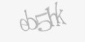 Sikkerhetskode