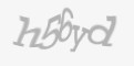 Sikkerhetskode